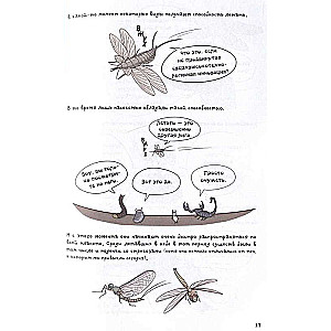 Fantastic Evolution of Insects