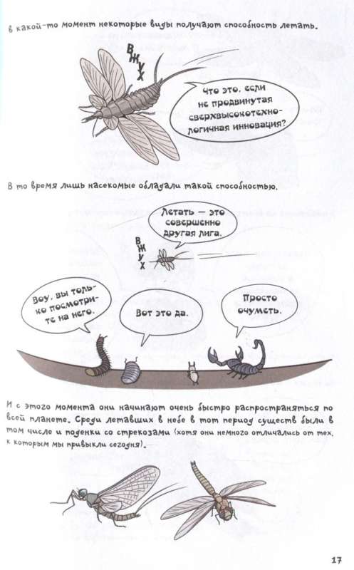 Fantastic Evolution of Insects