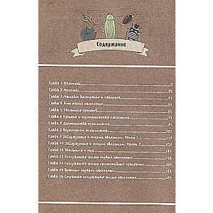 Fantastic Evolution of Insects
