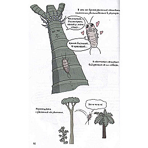 Fantastic Evolution of Insects