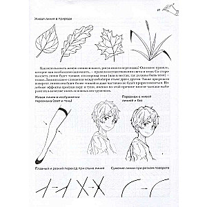 Manga. The Most Complete Course on Drawing