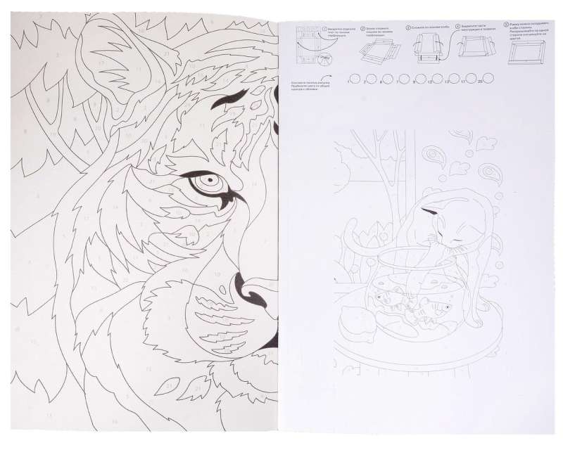 Paint by Numbers. Cats