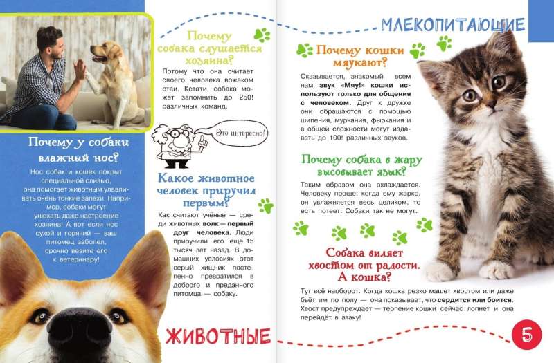 1000 Questions and Answers. The First Book About Everything in the World