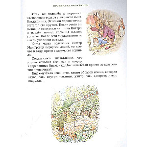 Everything about Peter Rabbit