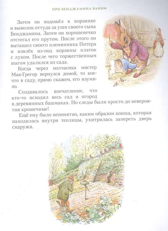 Everything about Peter Rabbit