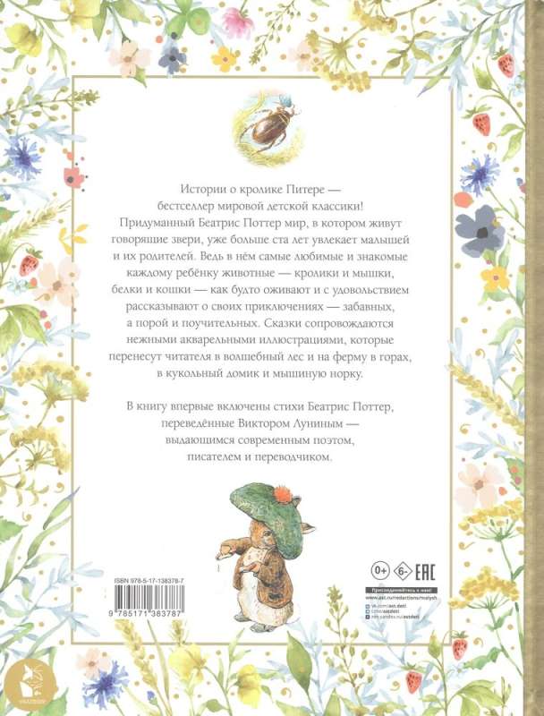 Everything about Peter Rabbit