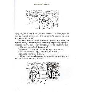 Everything about Peter Rabbit