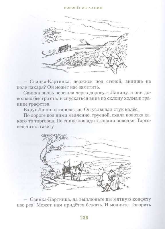 Everything about Peter Rabbit