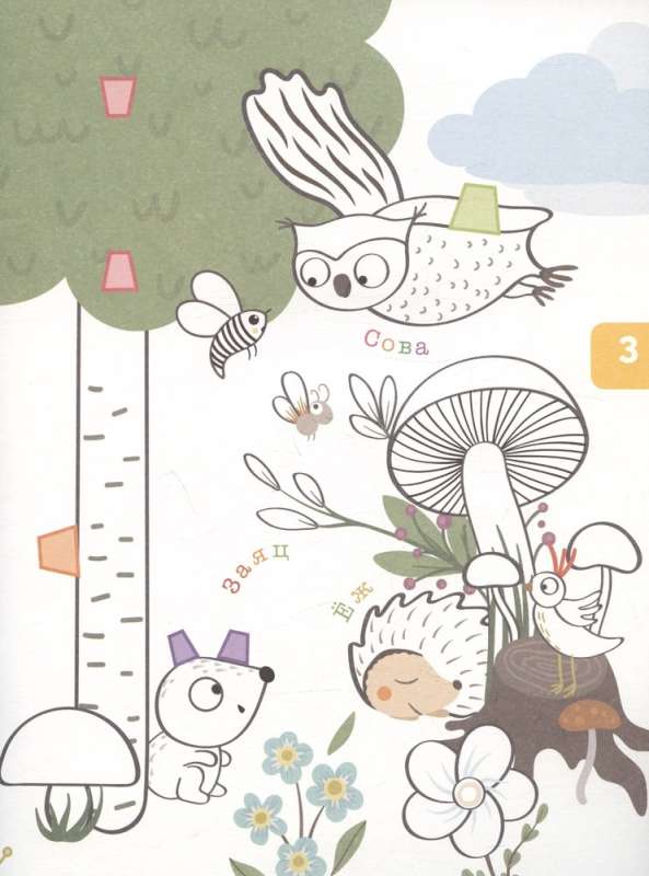 Forest Animals and Birds. 3D Coloring Book