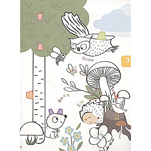 Forest Animals and Birds. 3D Coloring Book