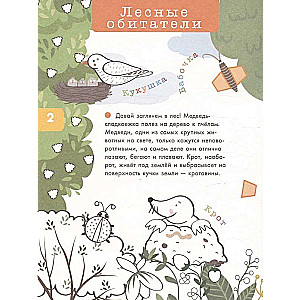 Forest Animals and Birds. 3D Coloring Book