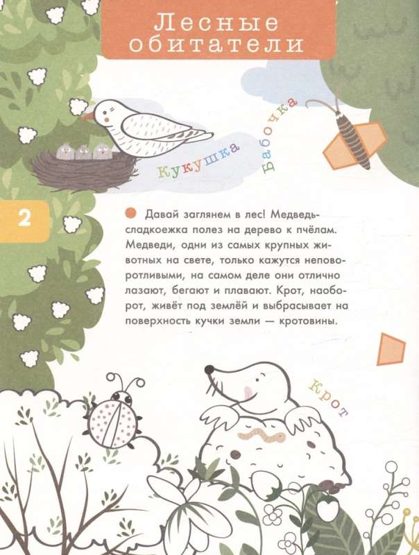 Forest Animals and Birds. 3D Coloring Book