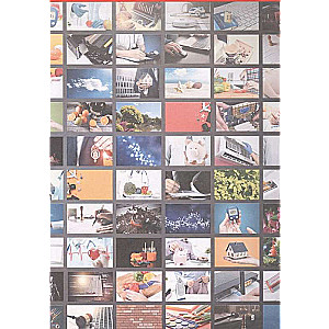 5000 Amazing Facts to Study for a Whole Year