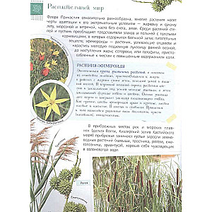 Red Book. Reserves of Russia. Animals and Plants