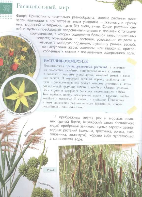 Red Book. Reserves of Russia. Animals and Plants