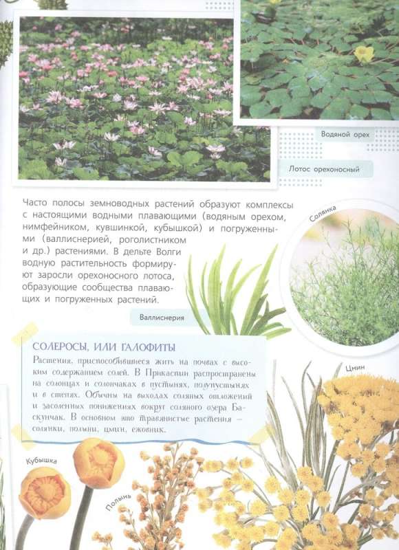 Red Book. Reserves of Russia. Animals and Plants