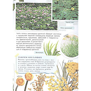 Red Book. Reserves of Russia. Animals and Plants