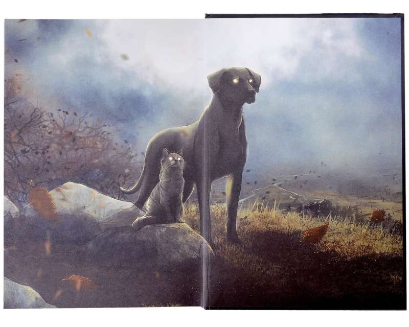 Zelazny's Illustrated Set. Jack of Shadows. A Night in October's Gloom