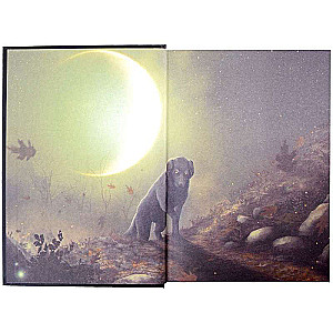 Zelazny's Illustrated Set. Jack of Shadows. A Night in October's Gloom