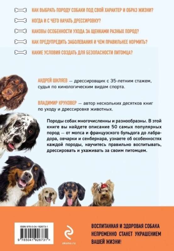 The Most Popular Dog Breeds