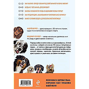 The Most Popular Dog Breeds