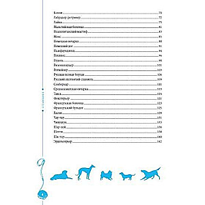 The Most Popular Dog Breeds