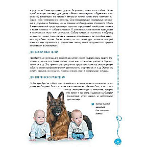 The Most Popular Dog Breeds