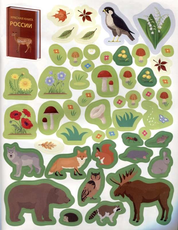150 stickers. In the forest