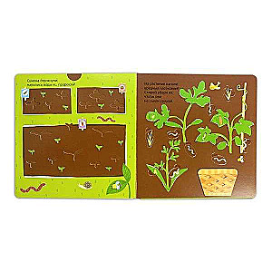 Harvesting. Developmental 3D-book