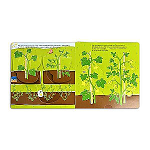 Harvesting. Developmental 3D-book