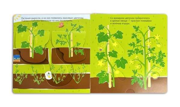 Harvesting. Developmental 3D-book