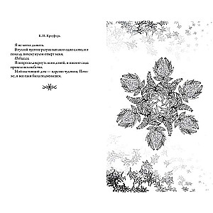 Frost