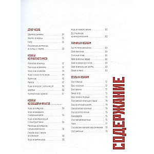 Kebabs. Techniques and Secrets of Preparation. 60 Recipes for Shish Kebabs, Döner Kebabs, Lule Kebabs