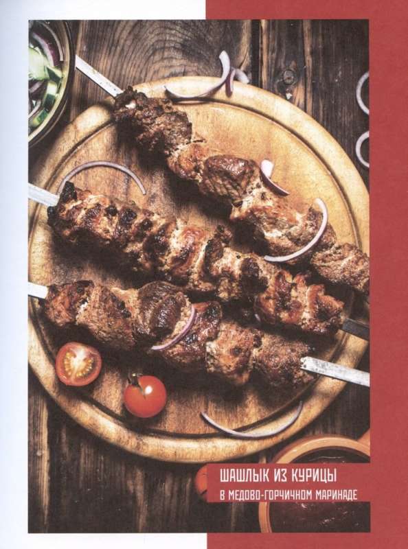 Kebabs. Techniques and Secrets of Preparation. 60 Recipes for Shish Kebabs, Döner Kebabs, Lule Kebabs