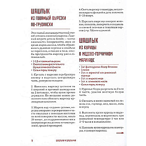 Kebabs. Techniques and Secrets of Preparation. 60 Recipes for Shish Kebabs, Döner Kebabs, Lule Kebabs