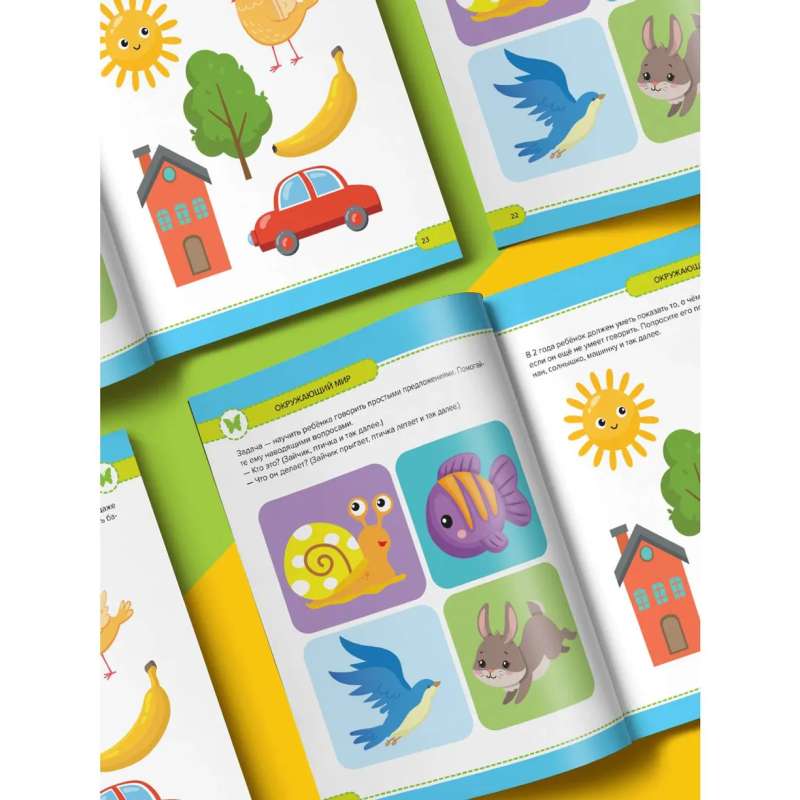 Little Smarty. Annual Course. 2-3 Years
