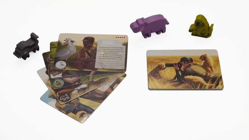 Expansion for the game - Wild Nature of Serengeti