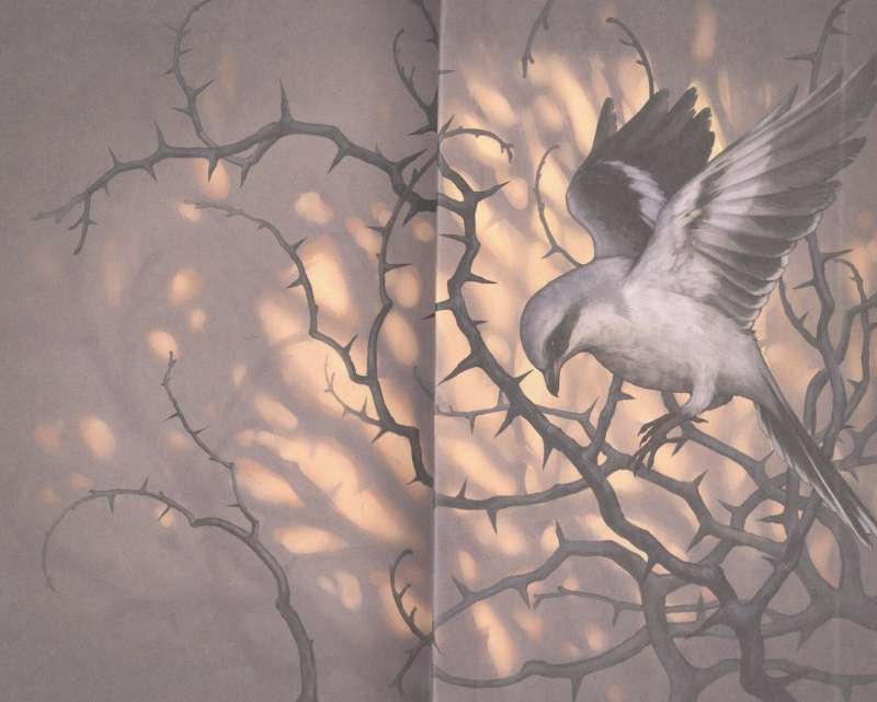 The Song of the Shrike