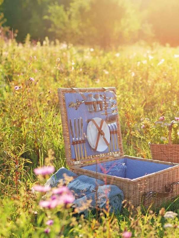 Weave like a designer. From basket to dresser. A complete practical guide to weaving with paper wicker