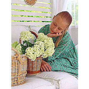 Weave like a designer. From basket to dresser. A complete practical guide to weaving with paper wicker