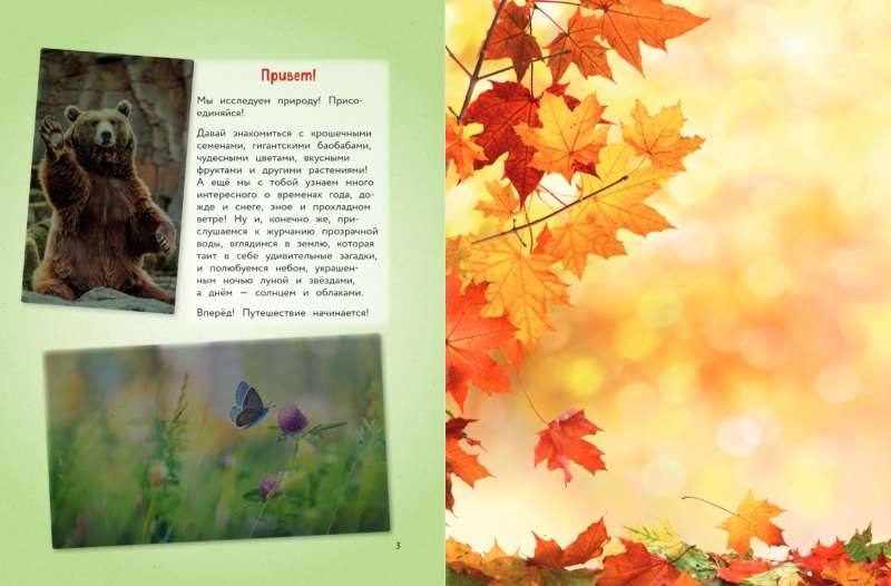 Nature. A Big Encyclopedia for Little Ones