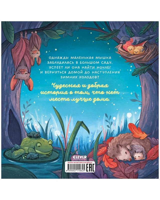 Picture Books. Sweet Dreams, Little Mouse!