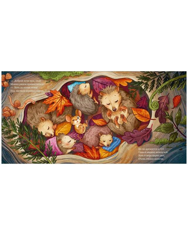 Picture Books. Sweet Dreams, Little Mouse!
