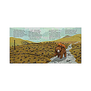 Picture Books. Where Did the River Go?