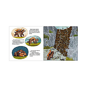 Picture Books. Where Did the River Go?