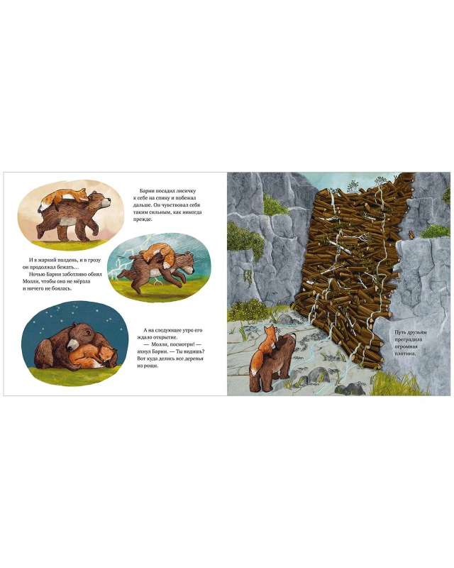 Picture Books. Where Did the River Go?