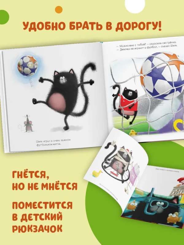 Picture Books. Shmyak and the Summer Holidays