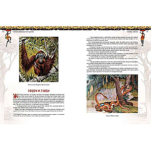 African Tales