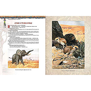 African Tales