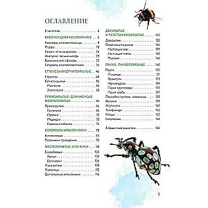Insects of the World. Children's Encyclopedia